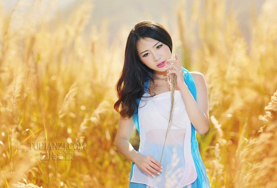 一个人的故事作文